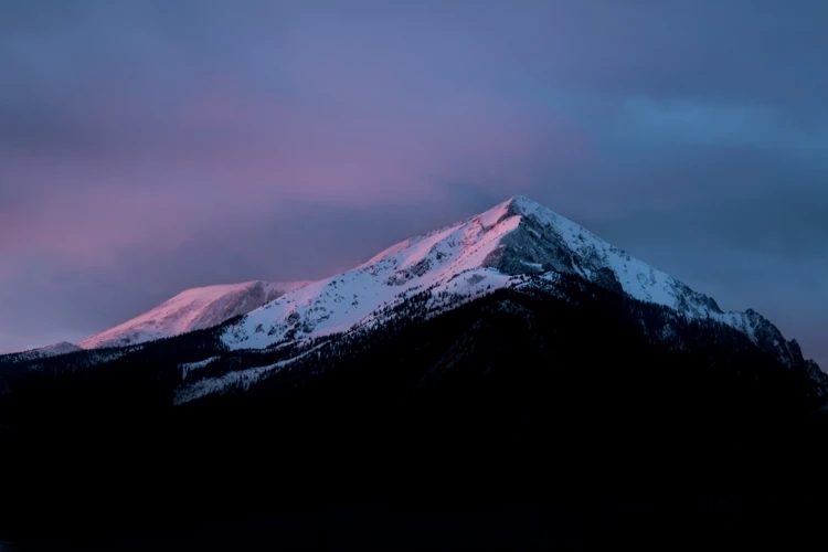 colorhub.webp (12).jpg