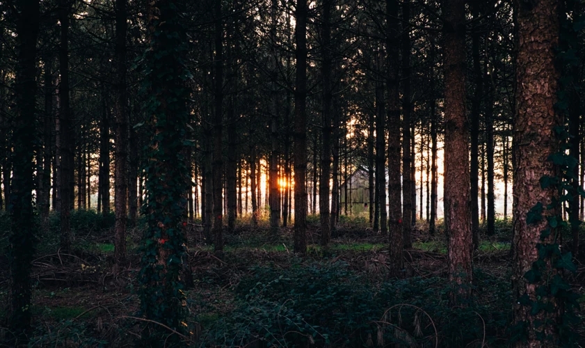colorhub.webp (8).jpg