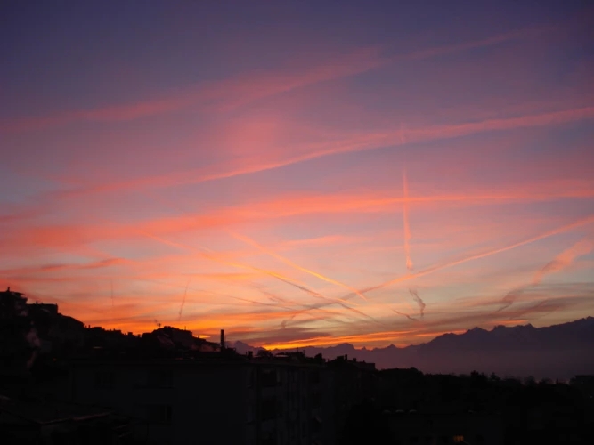 colorhub.webp (7).jpg