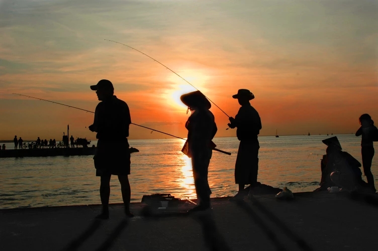colorhub.webp (8).jpg