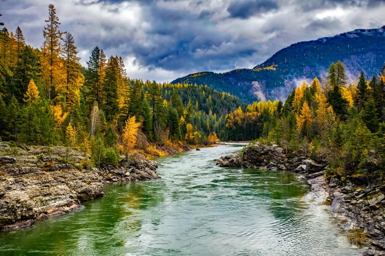colorhub.webp (2).jpg