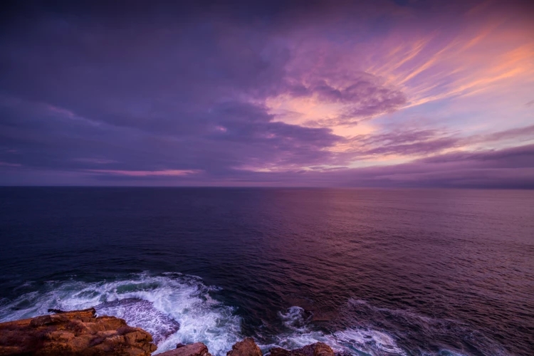 colorhub.webp (4).jpg